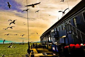 cc攻击免费网页版