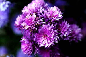 网络ddos攻击软件